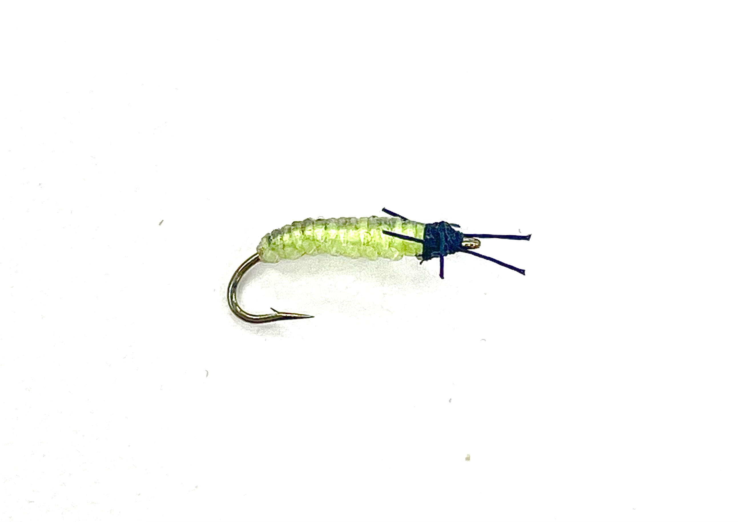 Caddis Larva